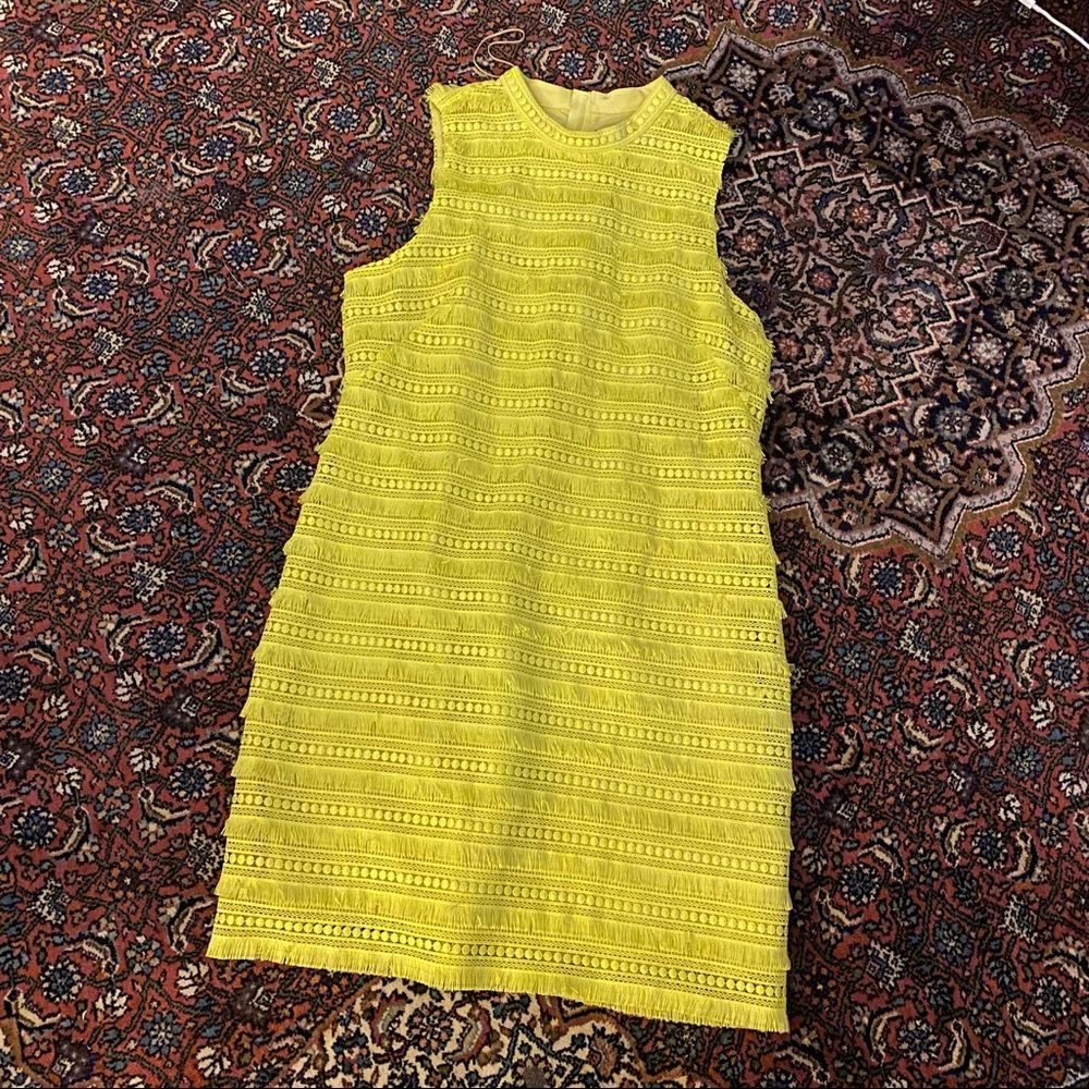 J.Crew Dress